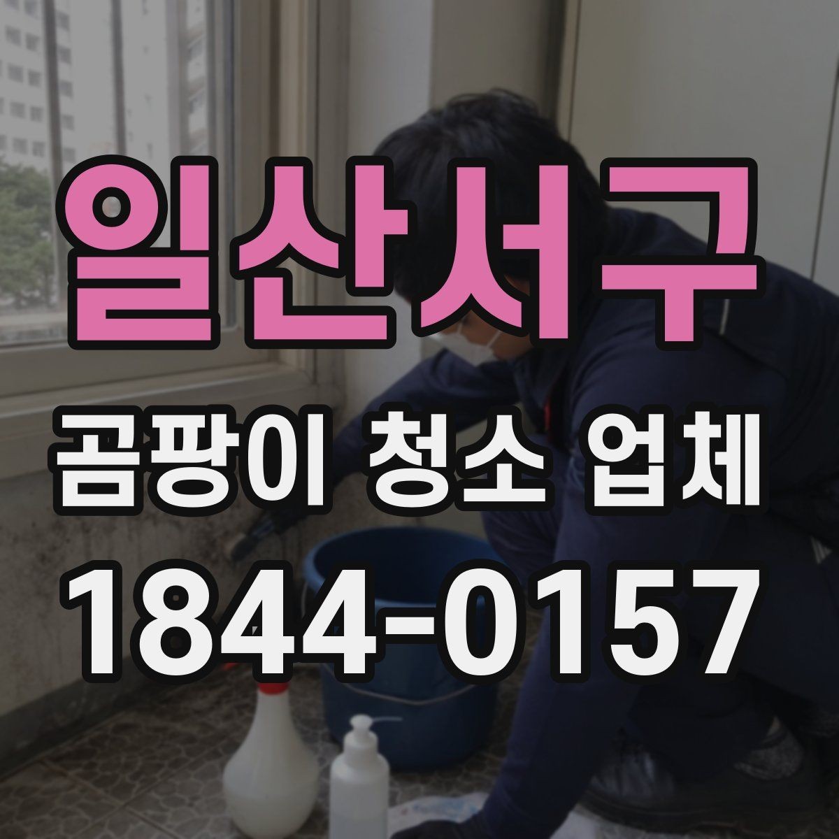 일산서구 곰팡이 청소 업체 견적이 다른 이유 정리