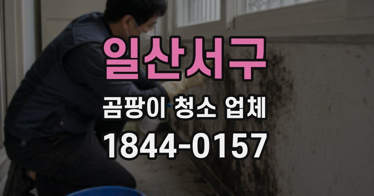일산서구 곰팡이 청소 업체