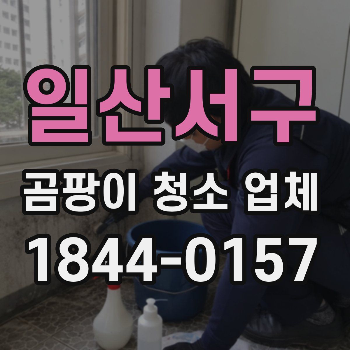 일산서구 곰팡이 청소 업체