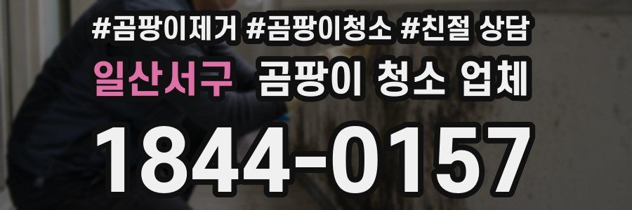일산서구 곰팡이 청소 업체