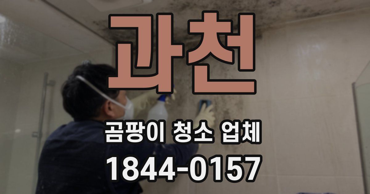 과천 곰팡이 청소 업체