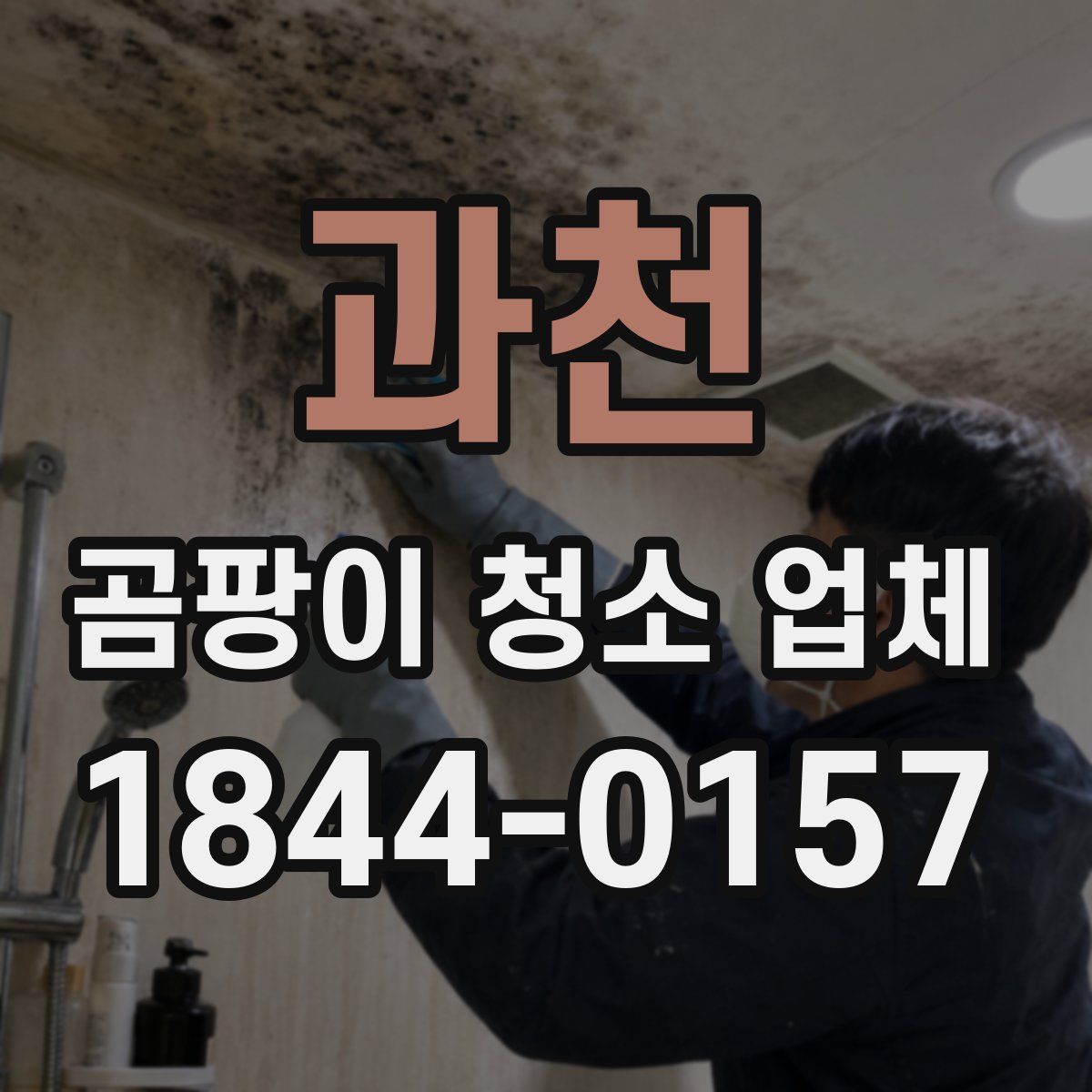 과천 곰팡이 청소 업체