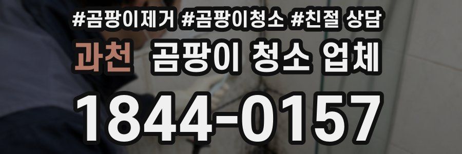 과천 곰팡이 청소 업체