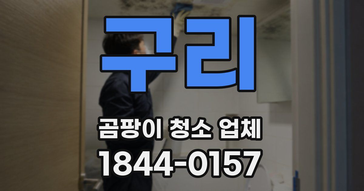 구리 곰팡이 청소 업체