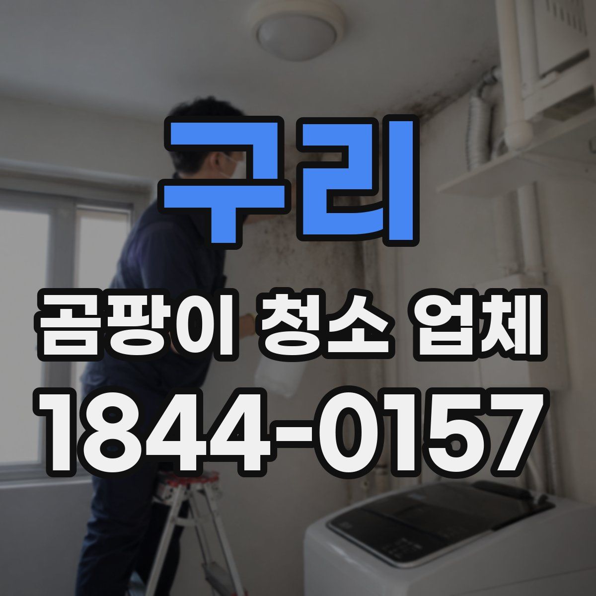 구리 곰팡이 청소 업체