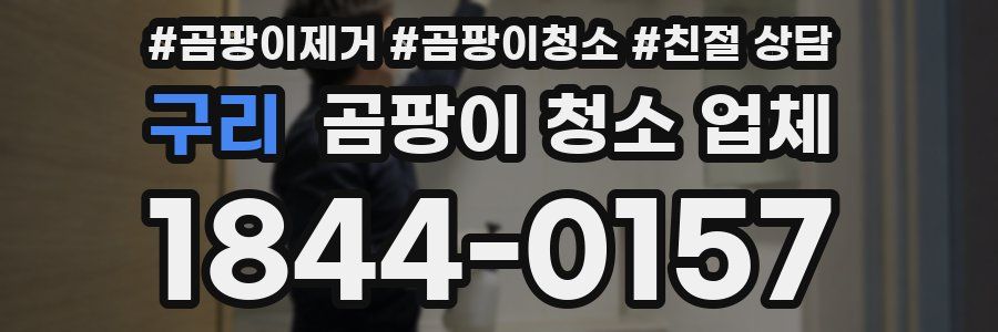 구리 곰팡이 청소 업체