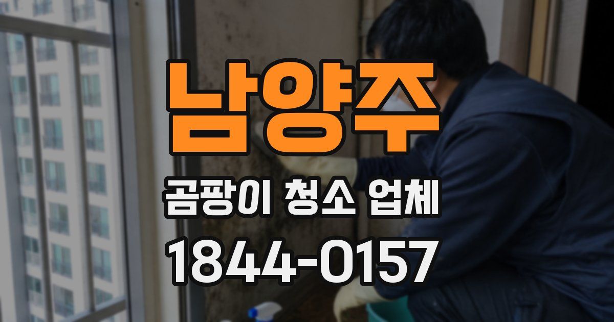 남양주 곰팡이 청소 업체