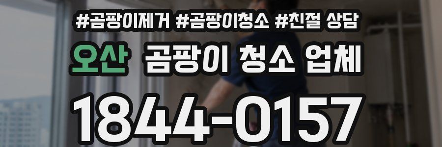 오산 곰팡이 청소 업체