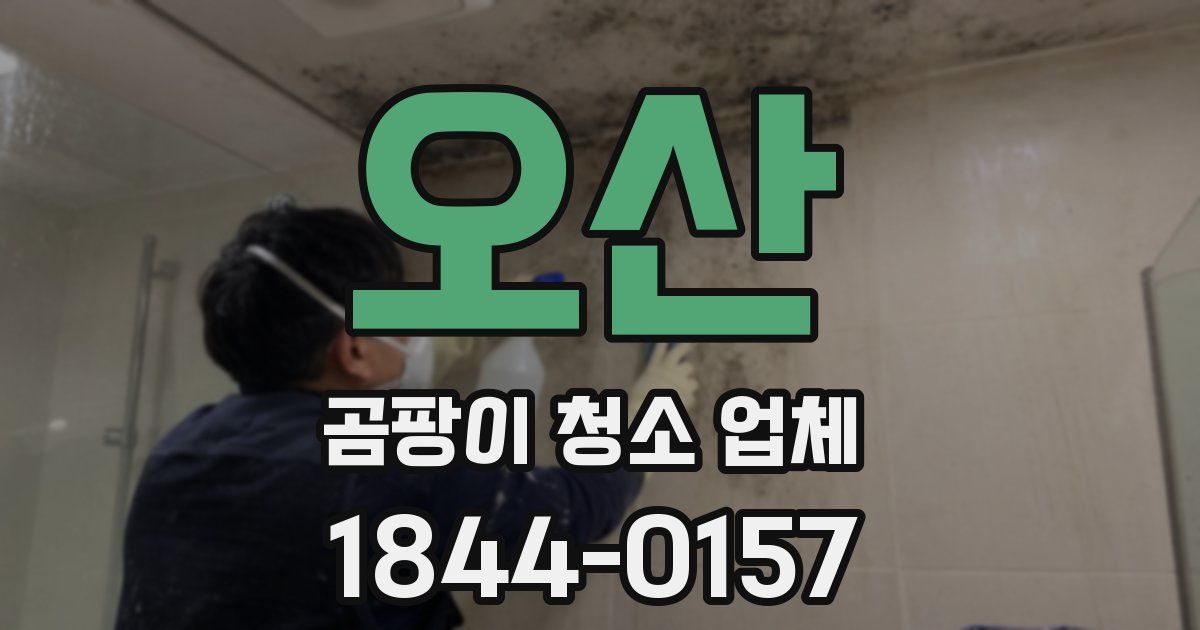 오산 곰팡이 청소 업체