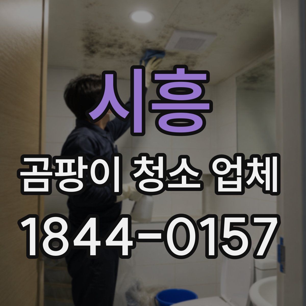 시흥 곰팡이 청소 업체