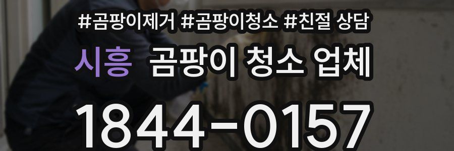 시흥 곰팡이 청소 업체