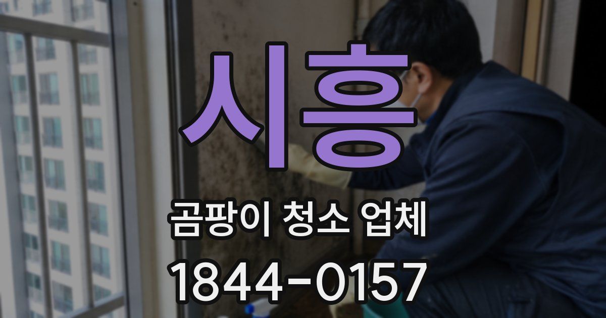 시흥 곰팡이 청소 업체