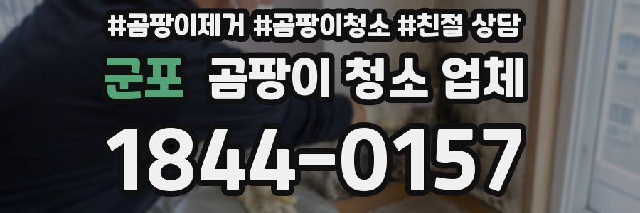 군포 곰팡이 청소 업체