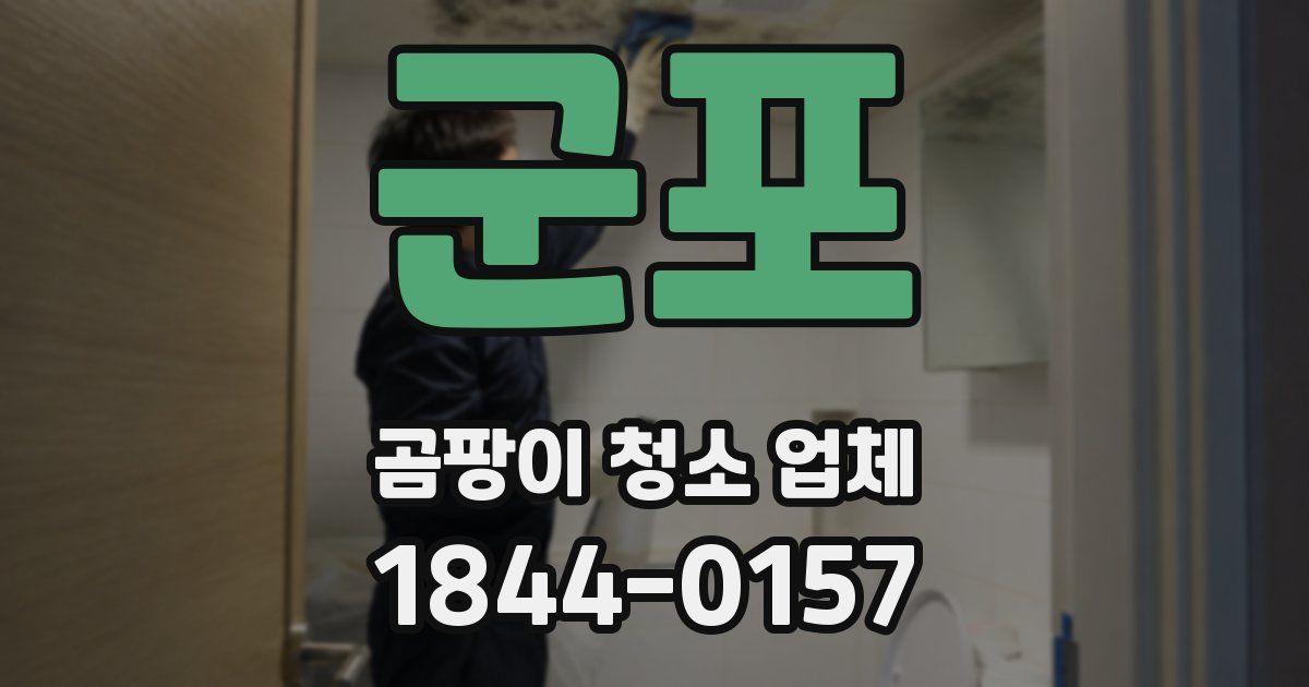 군포 곰팡이 청소 업체
