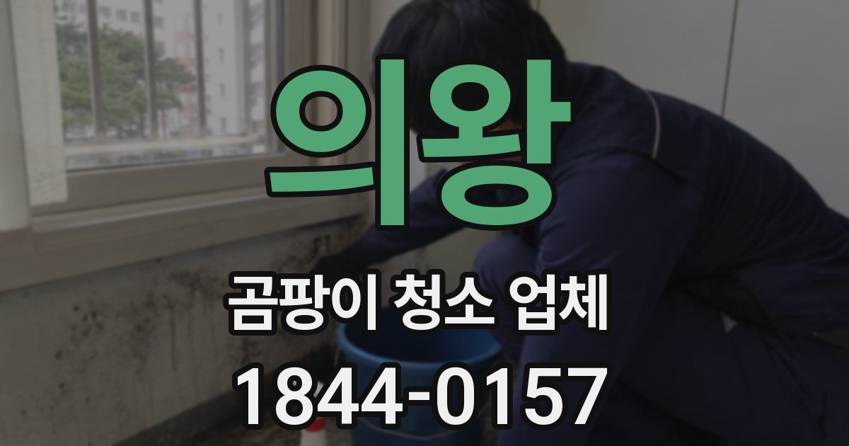 의왕 곰팡이 청소 업체