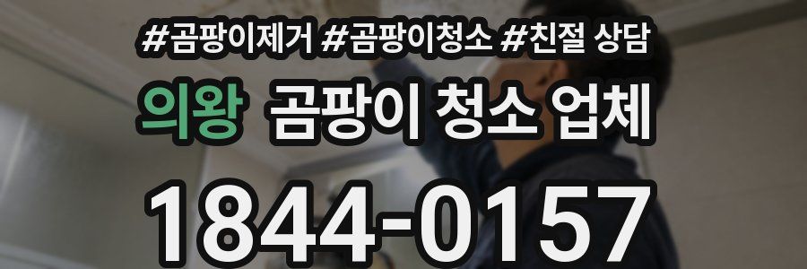 의왕 곰팡이 청소 업체