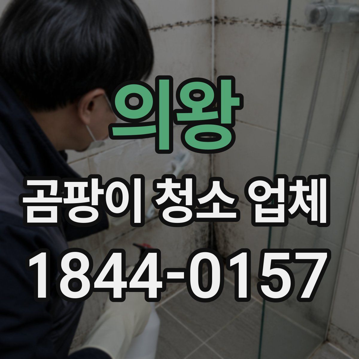 의왕 곰팡이 청소 업체