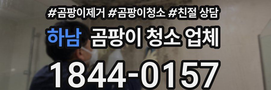 하남 곰팡이 청소 업체