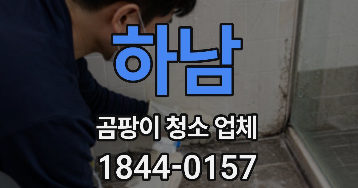 하남 곰팡이 청소 업체