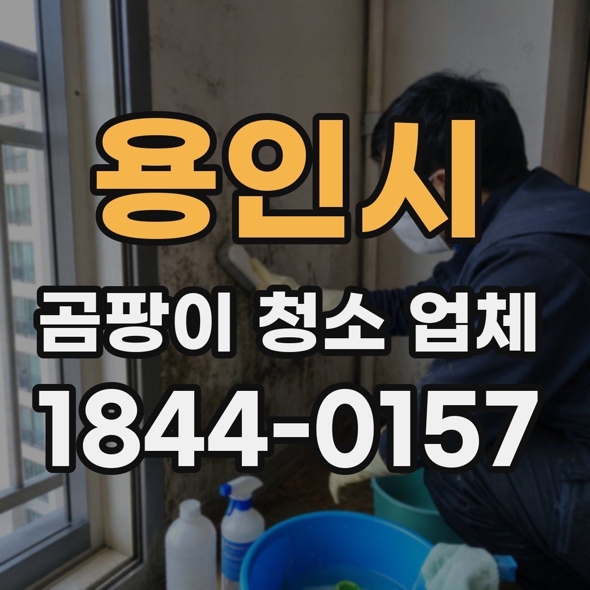 용인시 곰팡이 청소 업체 작업 범위 예시와 제한 사항