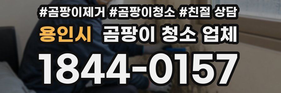 용인시 곰팡이 청소 업체