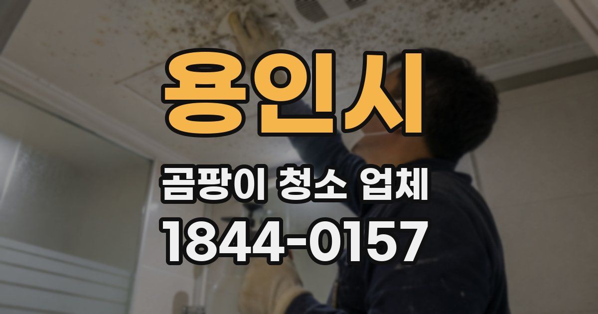 용인시 곰팡이 청소 업체