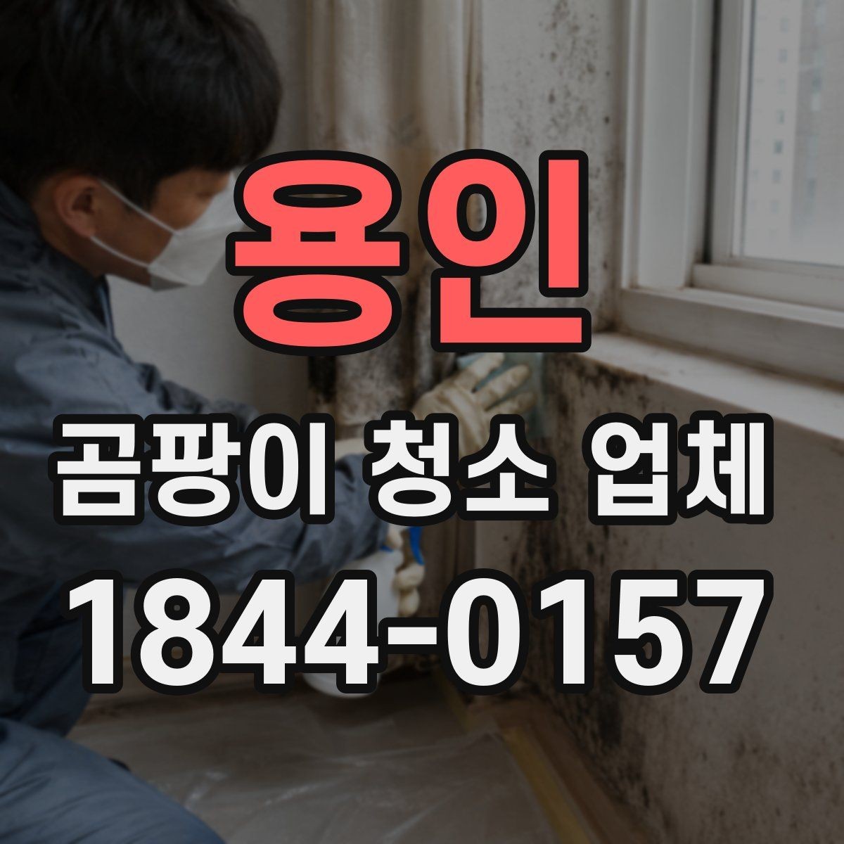 용인 곰팡이 청소 업체 상담에서 물어보면 좋은 세부 사항