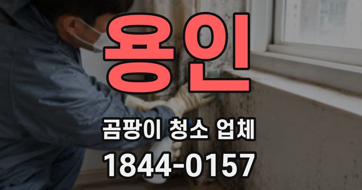용인 곰팡이 청소 업체