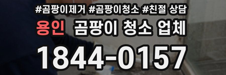 용인 곰팡이 청소 업체