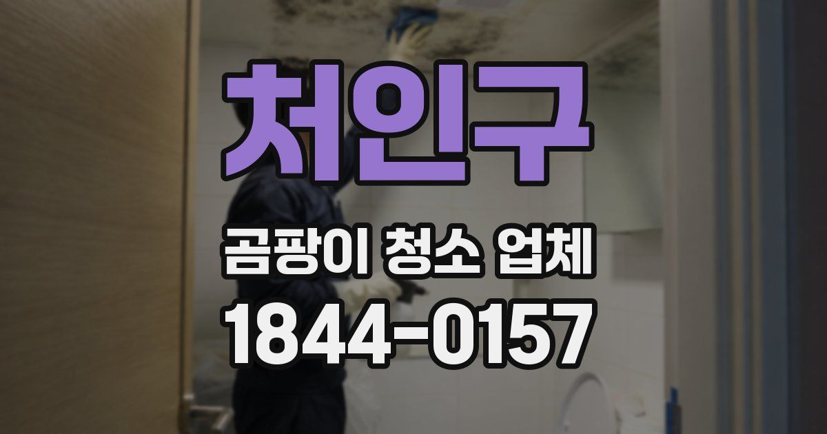 처인구 곰팡이 청소 업체