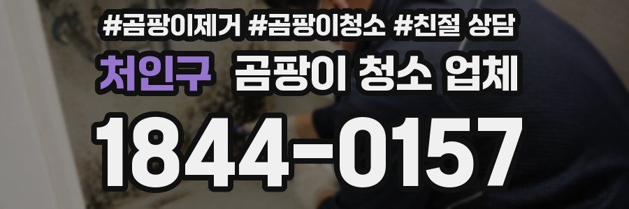 처인구 곰팡이 청소 업체