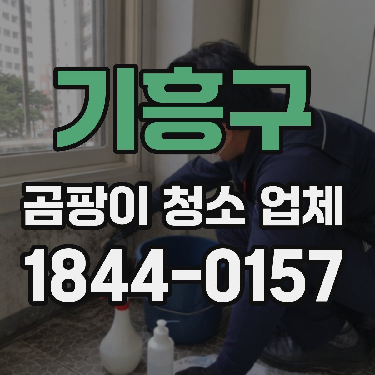 기흥구 곰팡이 청소 업체 상담 전에 알아두면 좋은 질문들