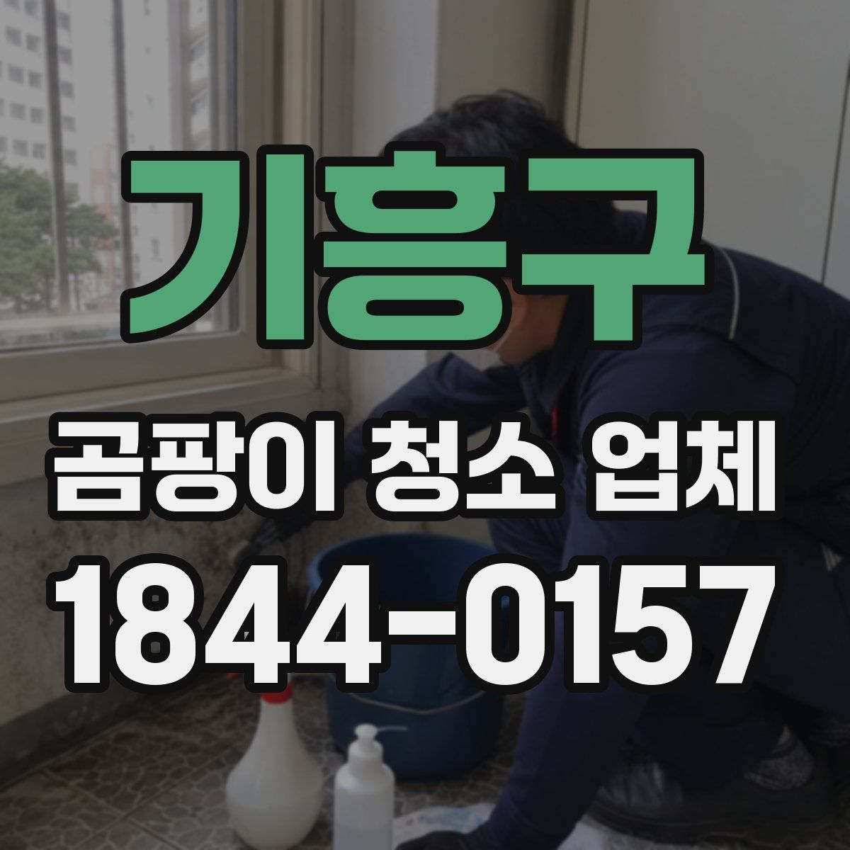 기흥구 곰팡이 청소 업체