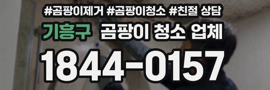 기흥구 곰팡이 청소 업체