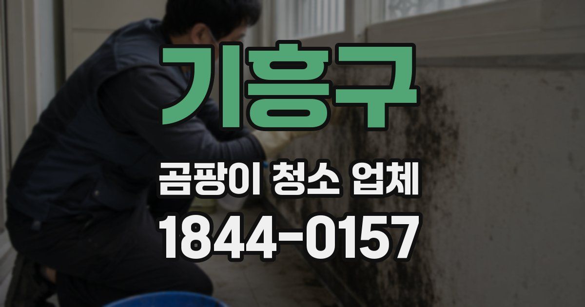 기흥구 곰팡이 청소 업체