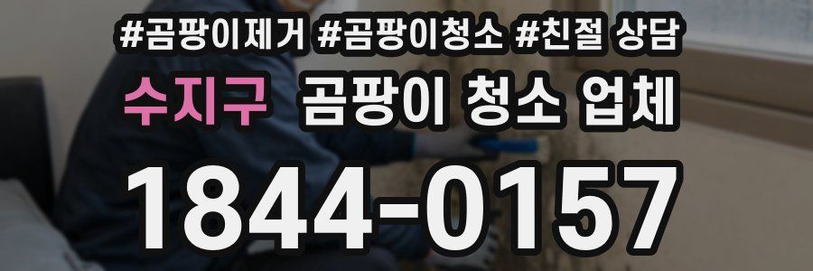 수지구 곰팡이 청소 업체