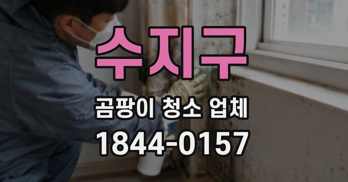 수지구 곰팡이 청소 업체