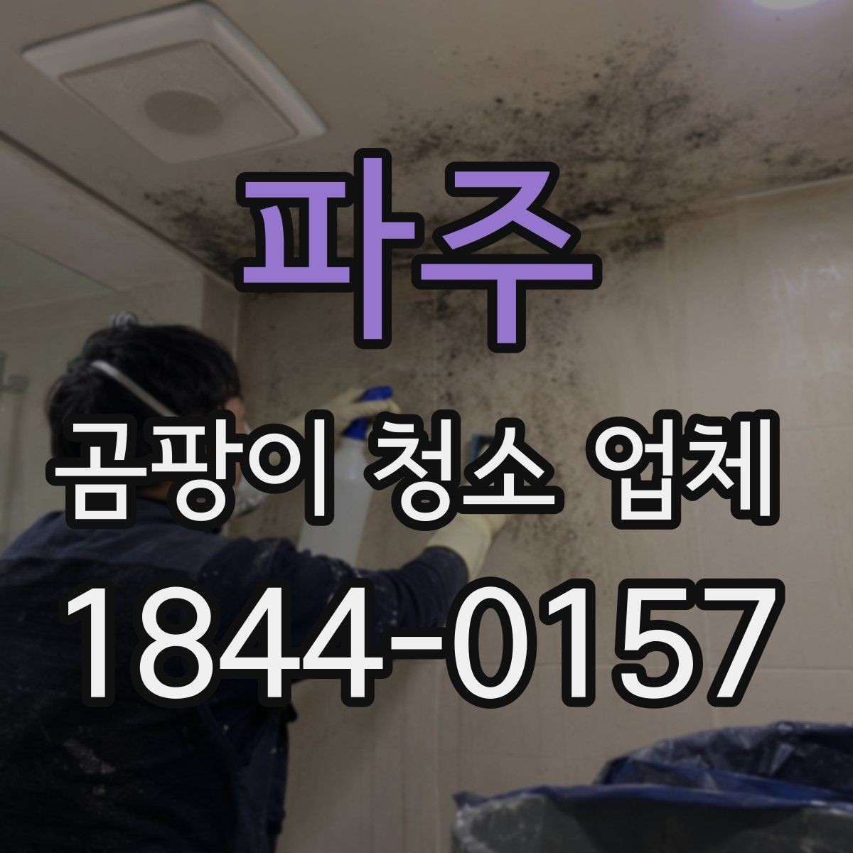 파주 곰팡이 청소 업체 이용 후 재발을 줄이는 습관
