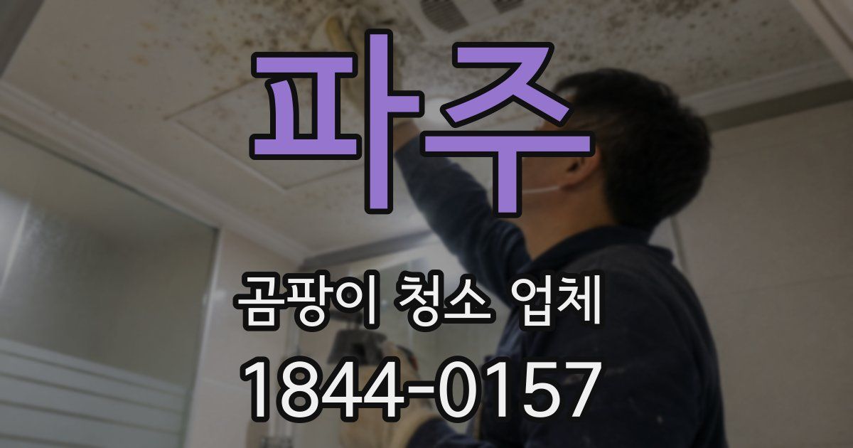 파주 곰팡이 청소 업체