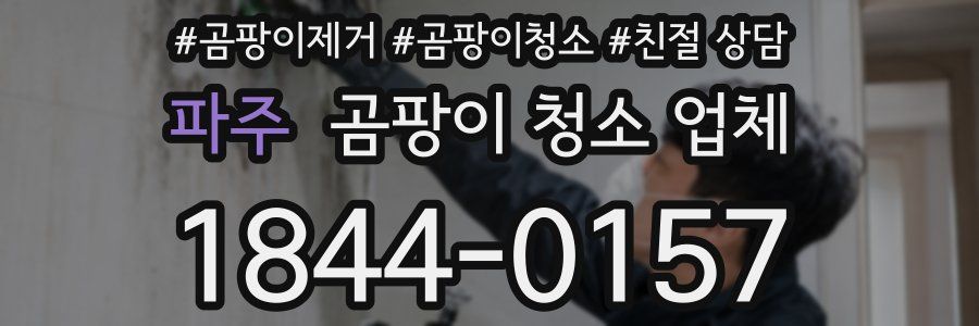 파주 곰팡이 청소 업체