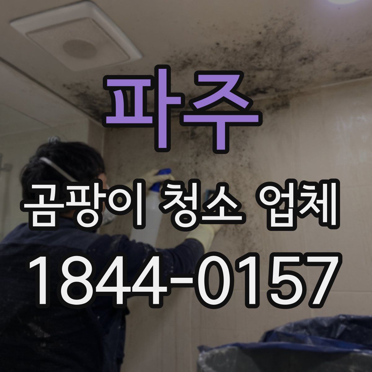 파주 곰팡이 청소 업체