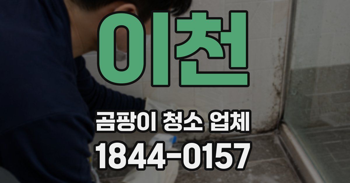 이천 곰팡이 청소 업체