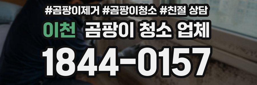 이천 곰팡이 청소 업체