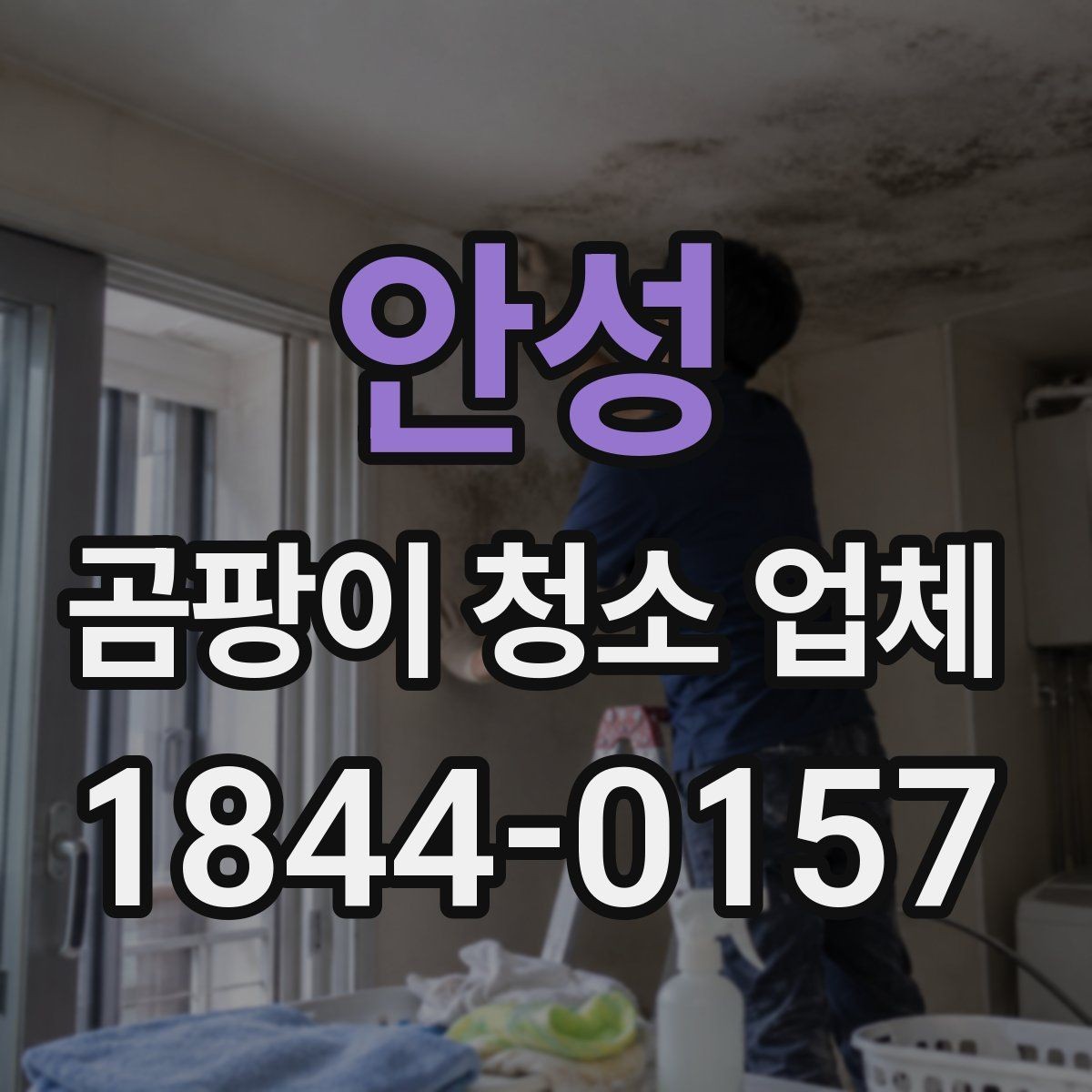 안성 곰팡이 청소 업체 상담 시 물어볼 질문들