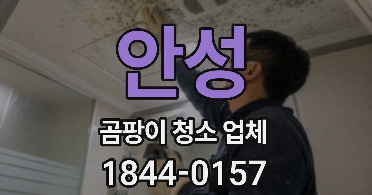 안성 곰팡이 청소 업체