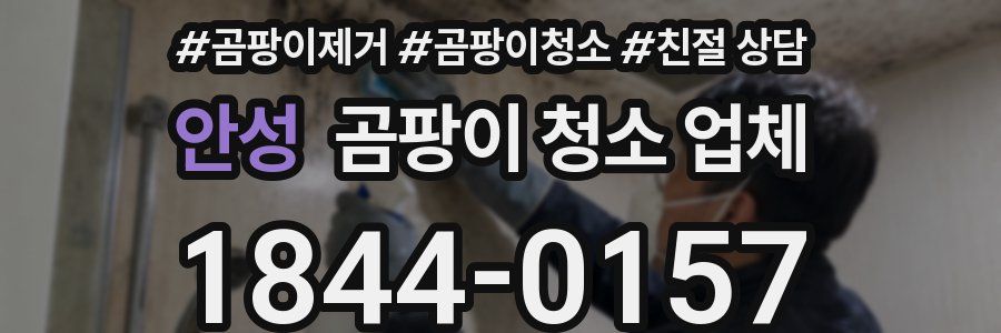 안성 곰팡이 청소 업체