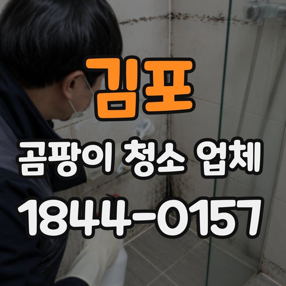 김포 곰팡이 청소 업체 선택 전 현장 진단이 중요한 이유