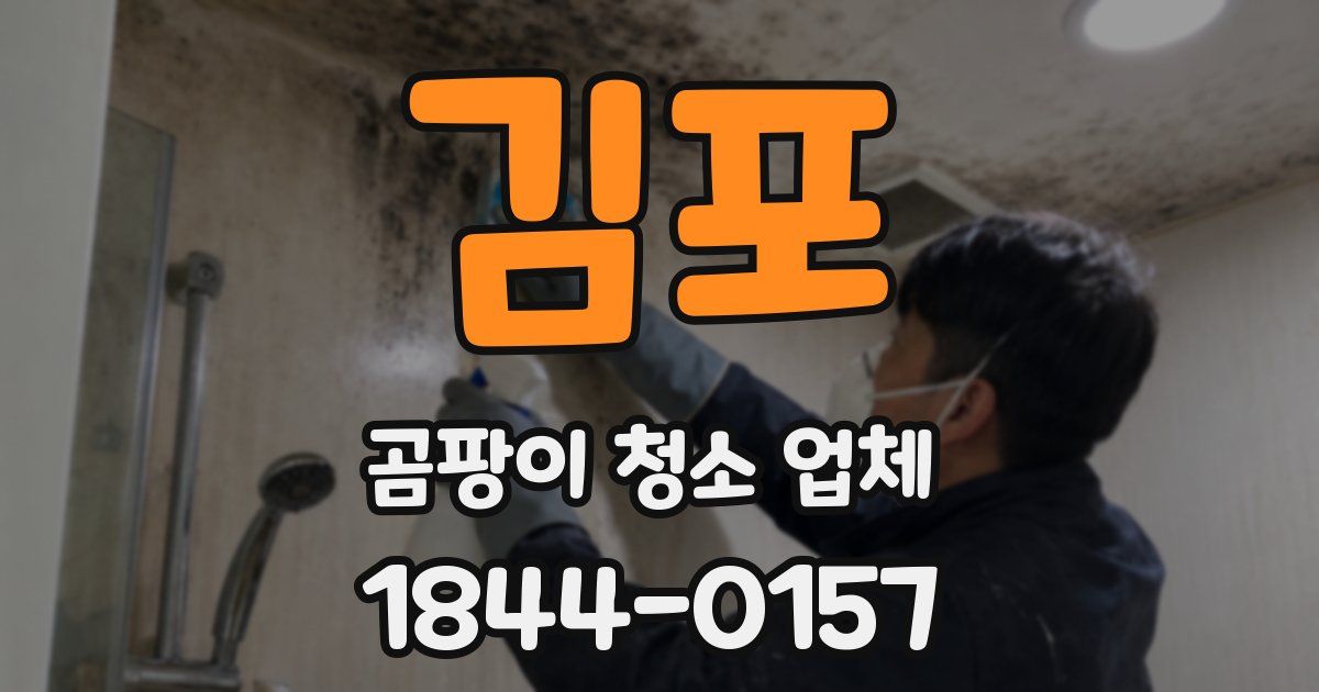 김포 곰팡이 청소 업체