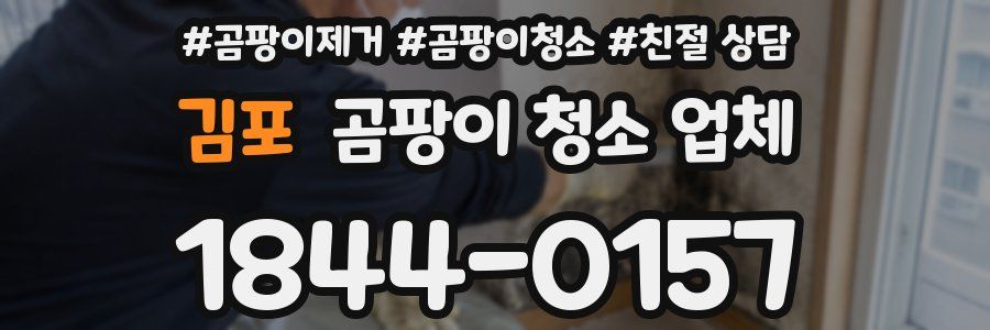김포 곰팡이 청소 업체