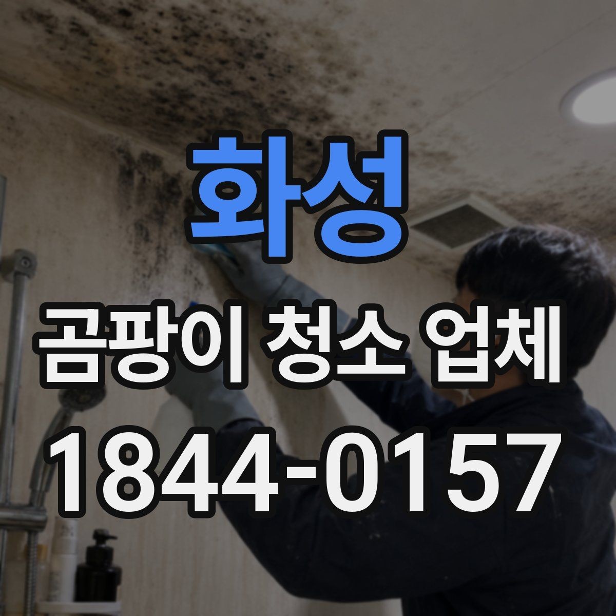 화성 곰팡이 청소 업체 후기에서 확인할 실제 포인트